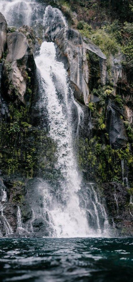 回答你想知道的问题-谷雨适合种植什么植物?问答网